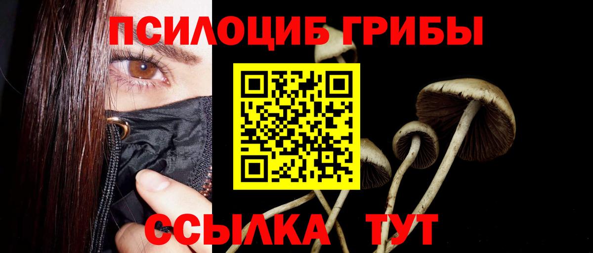 Галлюциногенные грибы мицелий Гулькевичи