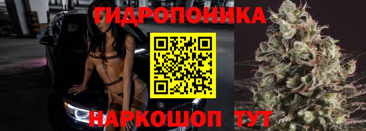 Марихуана White Widow  МАРИХУАНА семена  Вход с VPN  Гулькевичи  Шишки марихуана планчик 